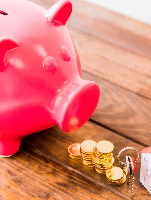 Cochon immobilier economie
